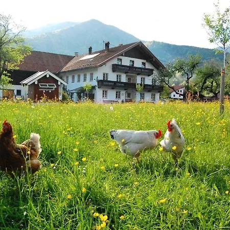 Alojamento de Turismo Rural Haiderhof Schleching